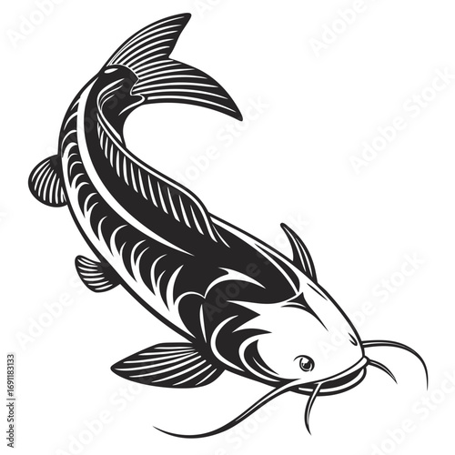 catfish bottom view silhouette vector