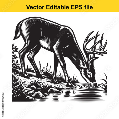 Black and white illustration of a deer drinking water from a stream