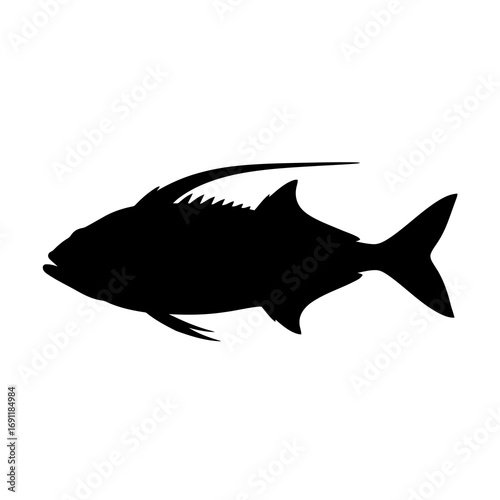 Black silhouette of a large fish isolated on white background silhouette