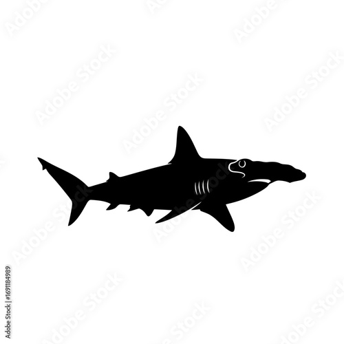 Hammerhead shark silhouette isolated on white background