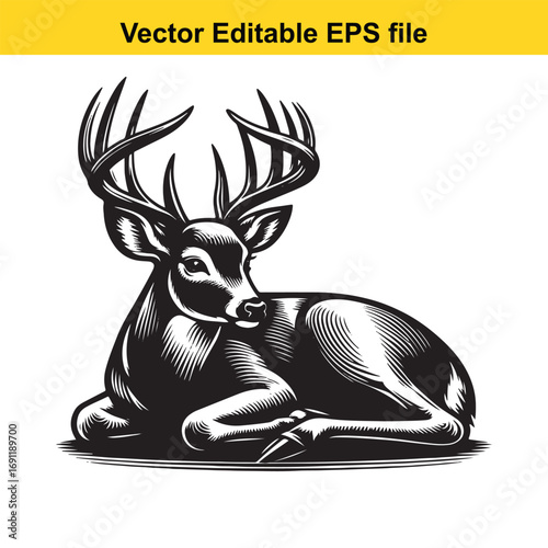Majestic deer with large antlers lying down, isolated on white background