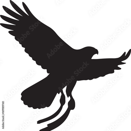 Black silhouette of a bird of prey in flight falcon
