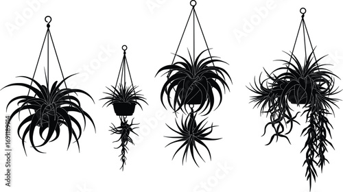 Hanging Plants Vector Illustration, Indoor Garden Décor, Nature Environment, Graphic Design, Modern Home, Artistic Viewpoint, Black Silhouette Concept