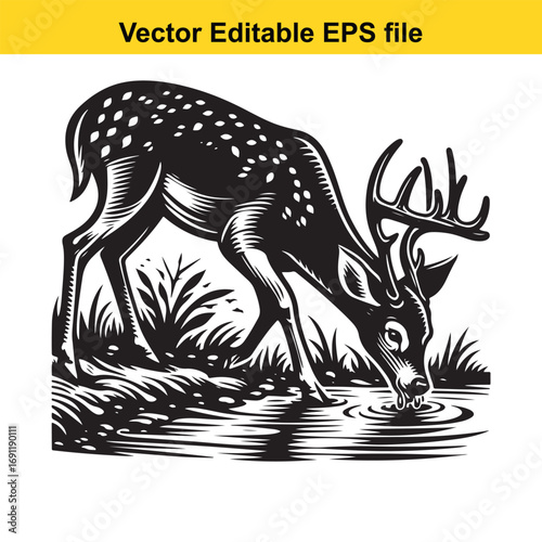 A black and white illustration of a deer drinking water from a stream