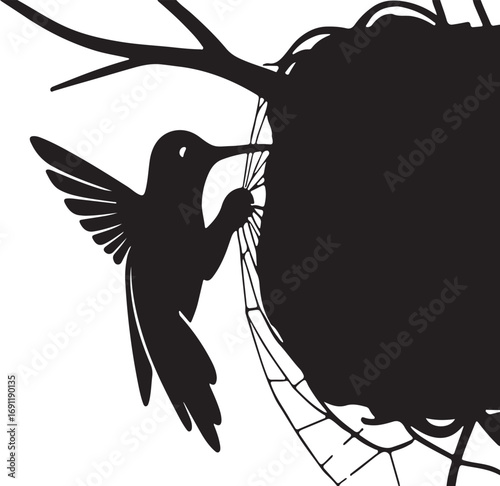 Hummingbird feeding from flower nectar wings