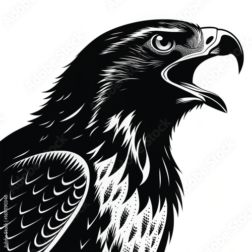 Majestic eagle head black and white bird wildlife