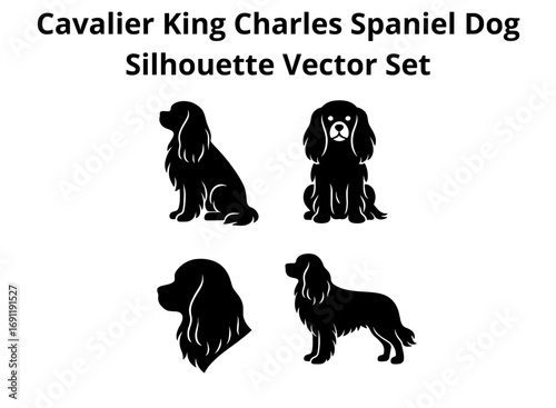 Cavalier King Charles Spaniel Dog Silhouette Vector Set