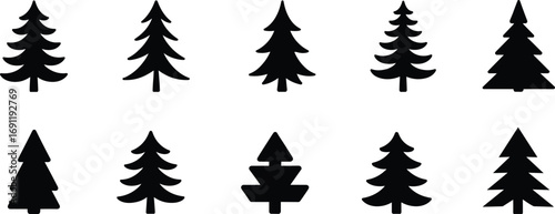 Minimalist black pine tree silhouettes in simple vector style for holiday, Christmas, winter design, decoration, and seasonal branding