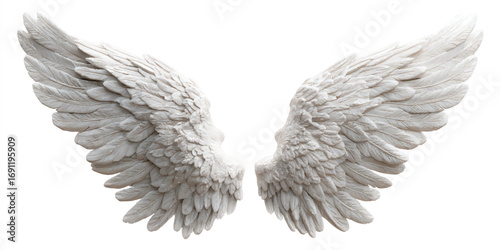 Majestic Angel Wings Gracefully Spread Open on a Clean White Background Symbolizing Freedom and Hope