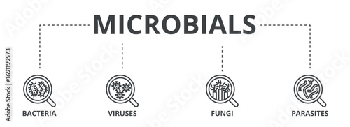 Microbials outline banner concept with icons. Bacteria, Viruses, Fungi, Parasites
