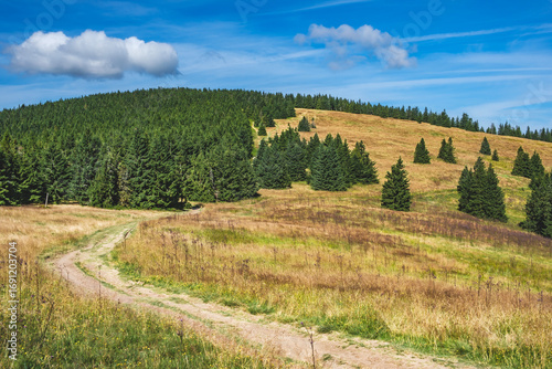 Fototapeta Naklejka Na Ścianę i Meble -  Wędrówka po Beskidzie Żywieckim