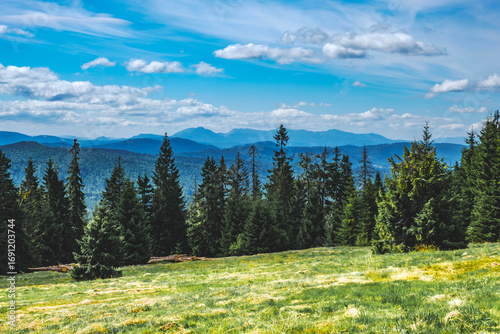 Fototapeta Naklejka Na Ścianę i Meble -  Wędrówka po Beskidzie Żywieckim
