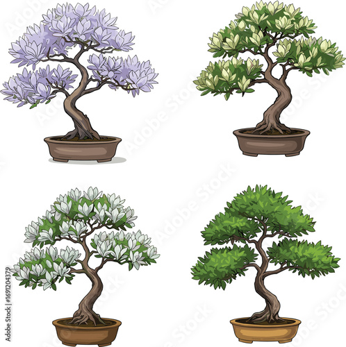 Bonsai tree seasonal foliage set, botanical illustration, potted miniature plants, spring summer autumn winter colors, decorative nature art, Japanese garden vector collection