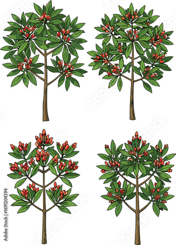 Green flowering tree silhouette set, botanical illustration, red blossom foliage, seasonal plant species, tropical garden flora, decorative nature design, vector art collection