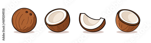 Coconut cartoon vector icon illustration. Coco nut fruit isolated cartoon palm summer tropical logo