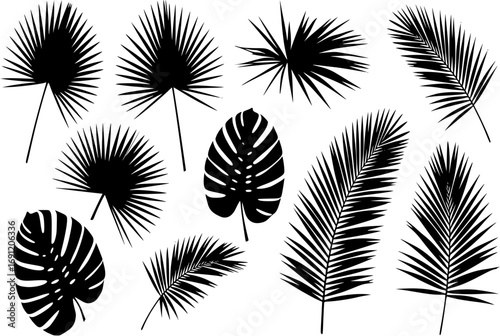 Set of green silhouettes of palm leaves isolated
