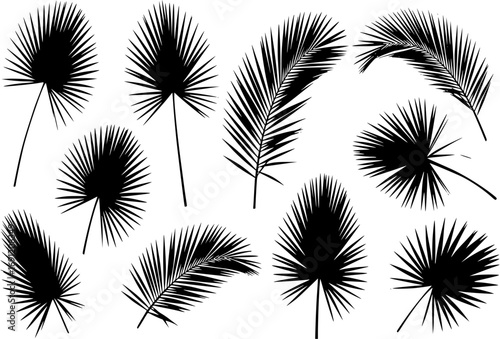 Set of green silhouettes of palm leaves isolated
