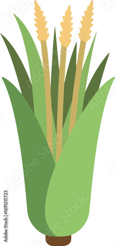 Golden corn stalk with green leaves vibrant harvest agriculture food ingredient farm fresh organic vector