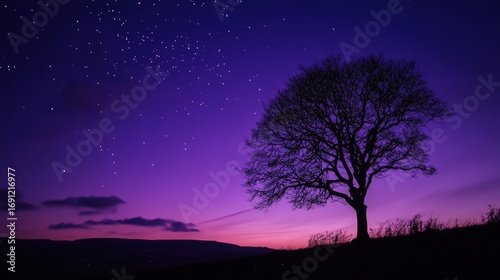 Serene Tree Silhouette Under Starry Sky at Twilight