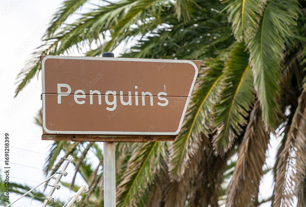 Fototapeta premium Sign post with the word Penguins written on it. Palm tree in the background.
