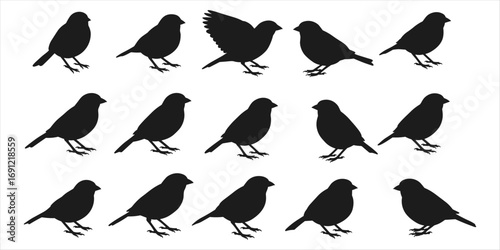 Collection of black bird silhouettes in various poses on white background Keywords: bird, silhouette
