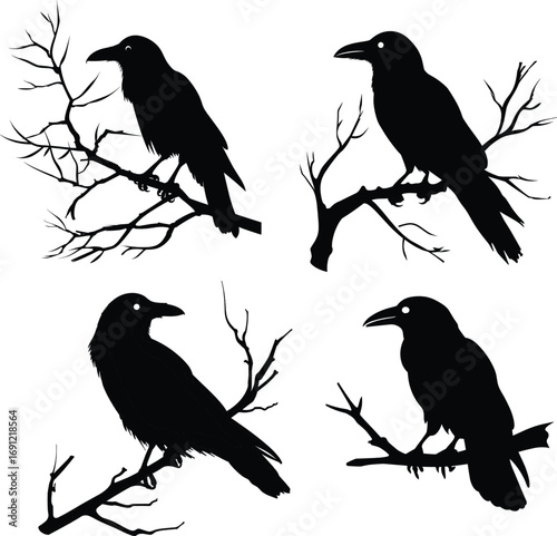 Set of Halloween Raven Birds Sitting on Bare Branches Vector Silhouette Art Background,generative ai	
