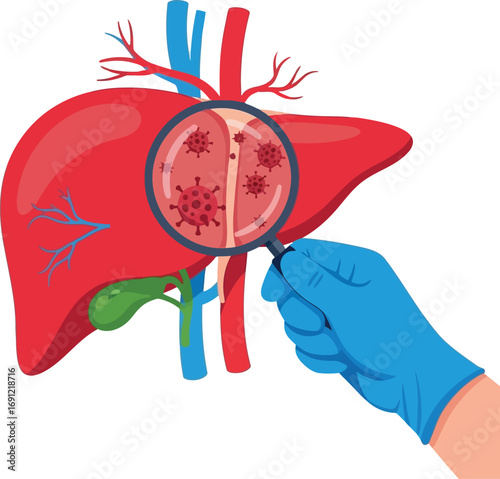 Medical research liver health scan magnified illness cells disease diagnosis scientist analysis anatomy organ science healthcare vector