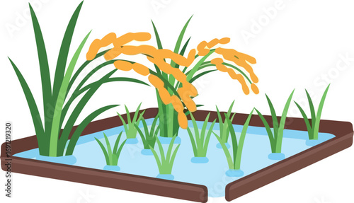 Golden rice field harvest nature landscape agriculture food growth ripe grains scenic rural vector