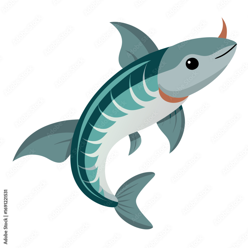 Fototapeta premium vector illustration of a shark