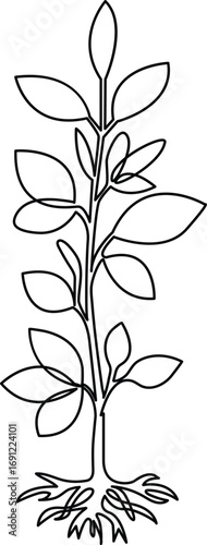 Growing plant tree single line art vector