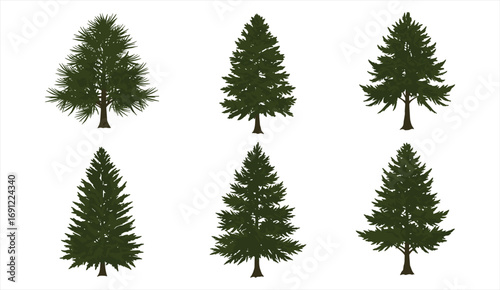Set of pine tree illustrations, evergreen conifer forest vector design, natural landscape elements, decorative holiday graphics, eco environment symbols