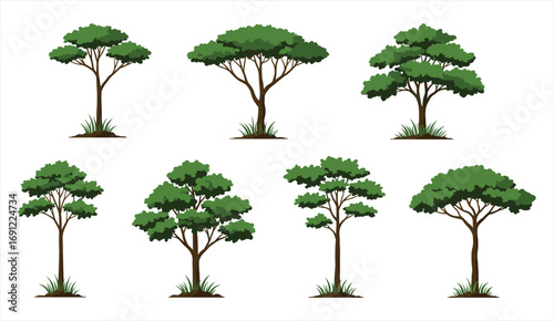 Green tree illustration set, natural forest vegetation, detailed botanical artwork, eco friendly foliage design, isolated nature landscape elements