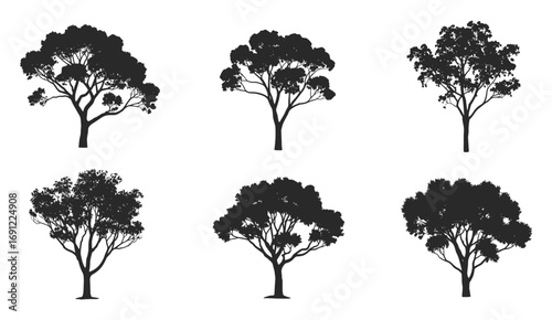 Leafy deciduous tree silhouette set, natural woodland illustration, outdoor forest design elements, black isolated vector collection for landscapes