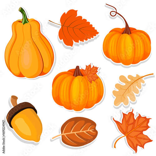 set of autumn pumpkins and leaves stickers