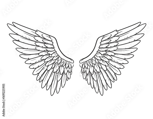 Pair of detailed angel wings