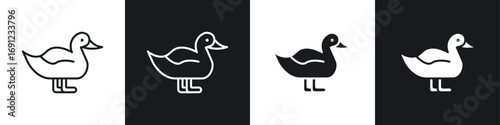 Duck icons in solid and stroke graphics
