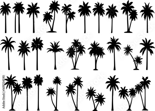 Palm tree silhouettes set, large pack of vector silhouette design, isolated white background
