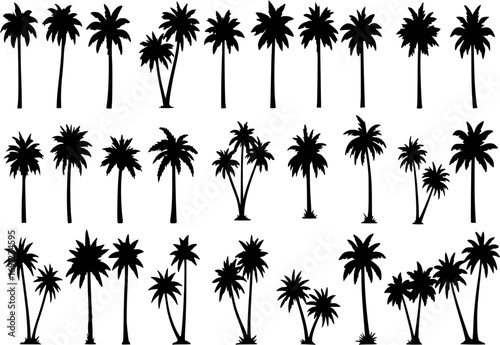 Palm tree silhouettes set, large pack of vector silhouette design, isolated white background
