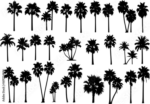 Palm tree silhouettes set, large pack of vector silhouette design, isolated white background
