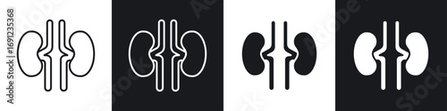 Kidney icons in solid and stroke graphics