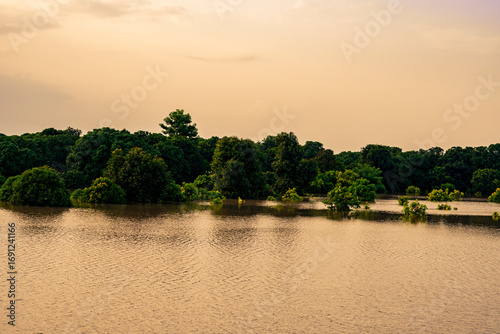 Submerged Orchard After Intense Monsoon Flooding