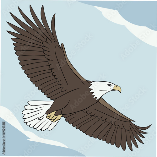 Majestic bald eagle soaring high in a clear sky vector illustration for wildlife art vector