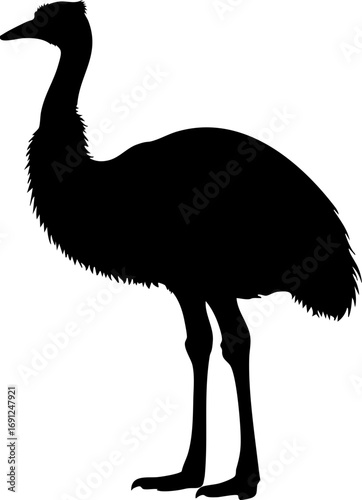 Striking silhouette of a majestic emu, wildlife icon, perfect for branding and nature designs