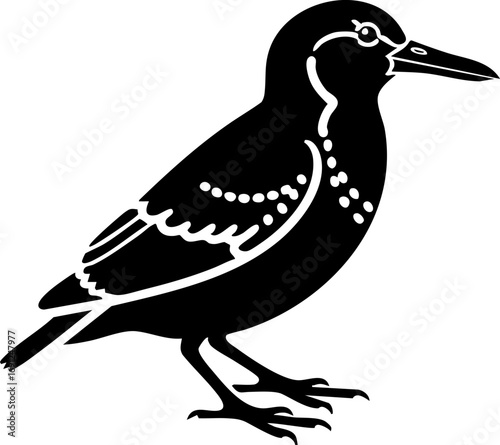 Elegant starling illustration with detailed plumage, perfect for nature designs and birdwatching themes