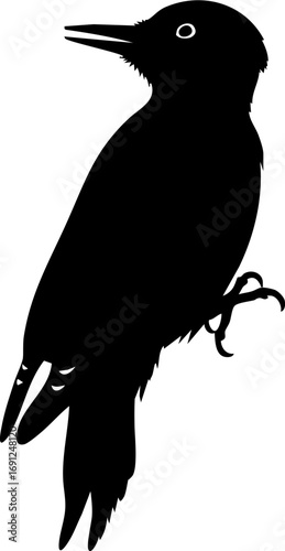 Striking silhouette of a woodpecker perched gracefully, nature's artistry in vector design