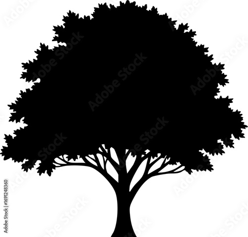 Elegant tree silhouette for nature designs and logos. Timeless tree art for your project needs