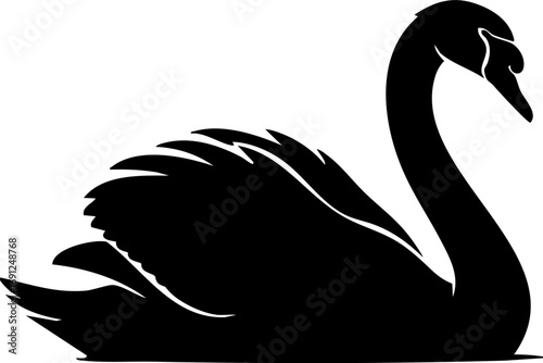 Elegant black swan glides gracefully with serene posture, symbolizing beauty and sophistication.