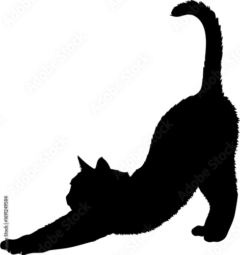 Graceful black cat silhouette stretching elegantly, embodying feline flexibility and calm morning energy