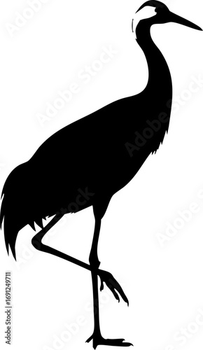 Elegant crane silhouette gracefully standing on one leg, a symbol of longevity and peace.