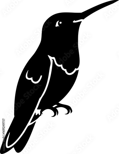 Elegant silhouette of a hummingbird poised for flight, capturing nature's delicate beauty and grace.